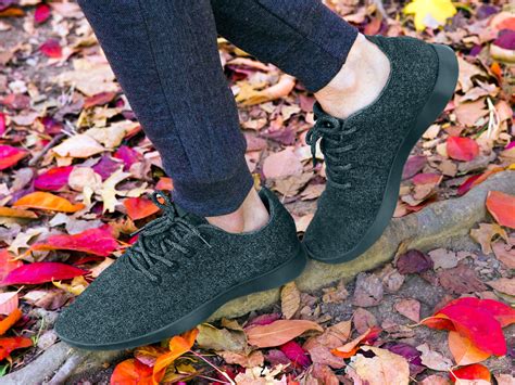 fake allbirds shoes|allbirds alternative shoes.